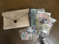 タイベックポーチ　紙モノおまけ付き