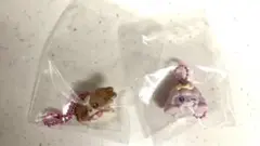 ぷちきゅあ　マスコット　セット