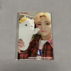 SEVENTEEN エスクプス トレカ 会場限定 ぬいぐるみ HMV 2018 - メルカリ