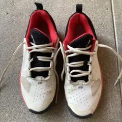 Item thumbnail for item f1e700d5-d53f-4ba5-a8af-4d27b572d4e6