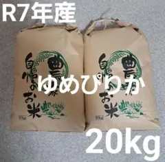 即日発送☆令和7年産　ゆめぴりか　20kg　10kg×2袋　北海道産　精米　白米のサムネイル