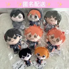 ハイキュー　みにコレ　ぬいぐるみちゃーむ　ちびぐるみ　アニマルポンチョ
