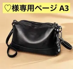 ♡様専用ページ A3