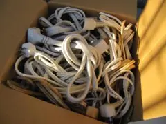 Item thumbnail for item 4920bb92-8e6a-4975-a0e8-66218d6d5926