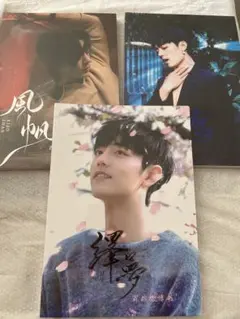 肖战（シャオジャン)レコードアルバム 肖战 シャオジャン レコードアルバム「我们」「私たち」 新品未開封 肖