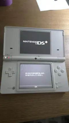 dsi ホワイト　ジャンク　1571DR