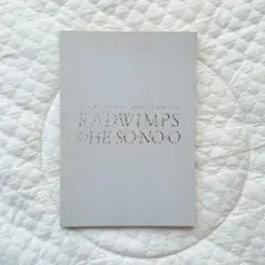 【美品】RADWIMPS HE・SO・NO・O パンフレット