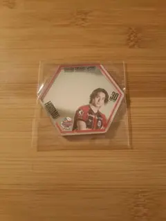 北海道コンサドーレ札幌 応援グッズ