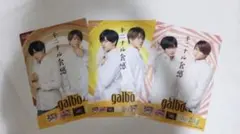 中島健人 菊池風磨 SexyZone ふまけん クリアファイル ガルボ