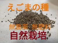 39サバトラ様 リクエスト 3点 まとめ商品