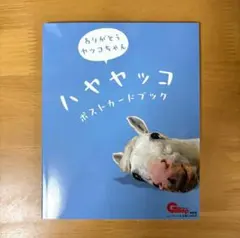 ハヤヤッコポストカードブック
