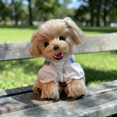 ハンドメイド ぬいぐるみ 犬 アートドール トイプードル全身可動