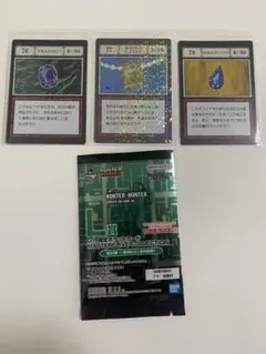 一番くじ HUNTER×HUNTER 指定ポケットカード一坪の密林 一坪の海岸線