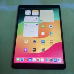 206 電池ほぼ新品☆iPad Pro 256GB 10.5インチ SIMフリー