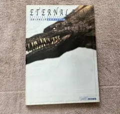 プレイステーション2エターナルリング　公式ガイドブック　攻略本