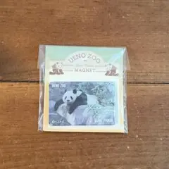 アクリルマグネット 上野動物園 シャオシャオ