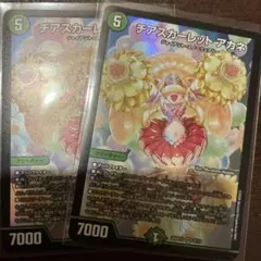 チアスカーレットアカネ 2枚セット - メルカリ