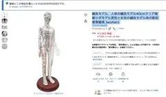 [미개봉] 인체 모형 침술 및 뜸술 경락 경혈점 모형 40cm 여성