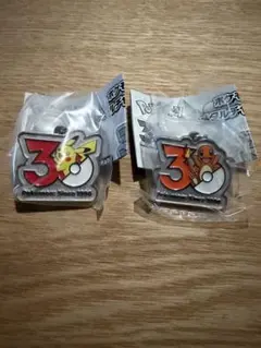 ポケモン 30周年 メタルチャームマスコット 2個セット