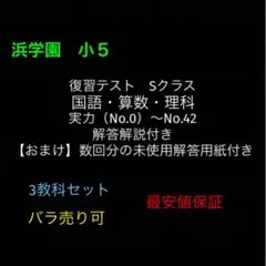 浜学園 4年生 復習テスト 国算理社 全42回分 - メルカリ