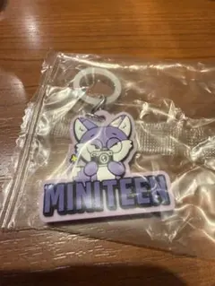 SEVENTEEN MINITEEN めじるしアクセサリー ウォヌ