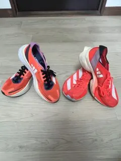 Item thumbnail for item 27afc491-d827-43fb-aa0d-312312f03a3b