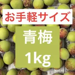 〈本日発送〉【朝採り】【無農薬】 青梅 1kgのサムネイル