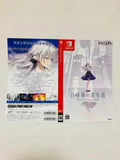 非売品 ダミージャケット 白昼夢の青写真 販促 展示用 Switch