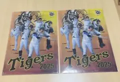 阪神タイガース　クリアファイル