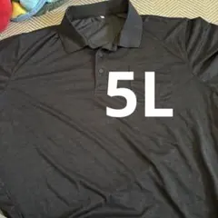 5l