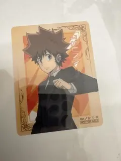 非売品 沢田綱吉 クリアカード 家庭教師ヒットマンREBORN!