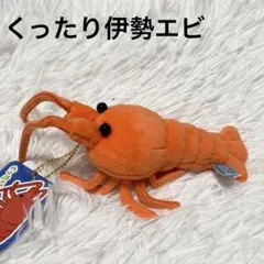 くったり伊勢エビ ぬいぐるみ マスコット オレンジ ボールチェーン タグ付き