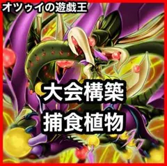 本格構築 捕食植物デッキ プレデタープランツデッキ 血樹竜姫ドラセリア