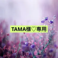 Ｔシャツ♡