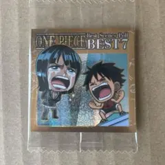 ワンピース　シールウエハース　ロビン　①