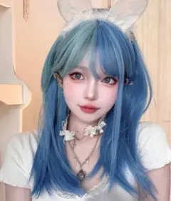 ウィッグ