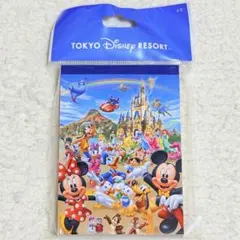 【未開封】ディズニーリゾート メモ帳 ミッキー プリンセス ヴィランズ 総柄