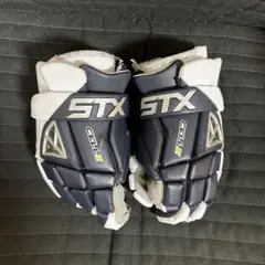 Item thumbnail for item 2a142b1b-1412-4794-997d-a72e12032c16