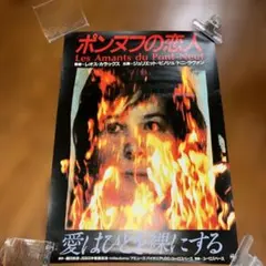 mtg アーティストプルーフ プロモ ニコルボーラス サインド foil