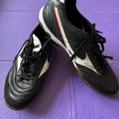 Item thumbnail for item bca09cbb-61ff-4b14-91ca-8eccf4044859