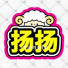 【メルカリ便】ちー様 リクエスト 2点 まとめ商品