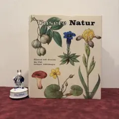 2026年最新】植物図鑑 洋書の人気アイテム - メルカリ