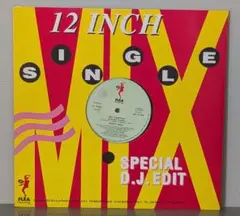 12インチ ディスコ系 レコード