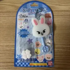 2026年最新】リービット skzooの人気アイテム - メルカリ