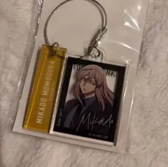 桃寺神門 アクスタ