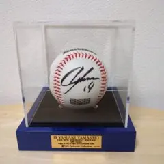 2025年最新】康晃 200セーブの人気アイテム - メルカリ