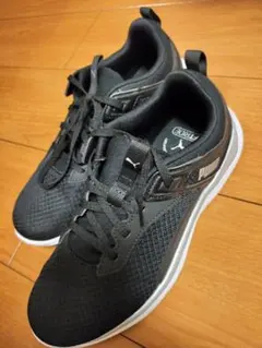 Item thumbnail for item 6dcbd6dc-f888-46e0-828d-80ec94558696