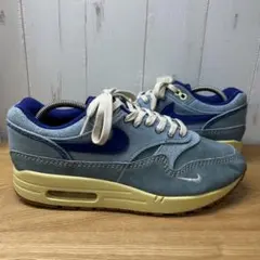 踵*し様 NIKE AIR MAX 1 PREMIUM DIRTY DENIMのサムネイル