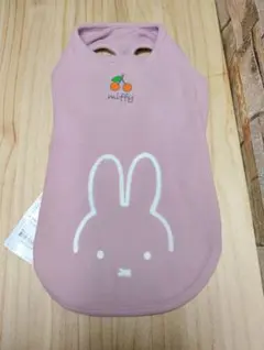 Item thumbnail for item ff7f817b-8a2d-4547-8164-6fc9c3cb02db