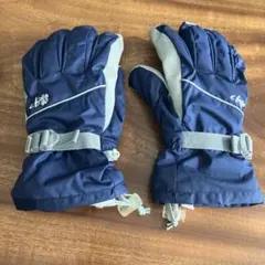 スキーグローブ レディース